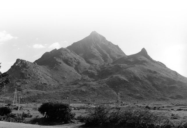 ramana arunachala